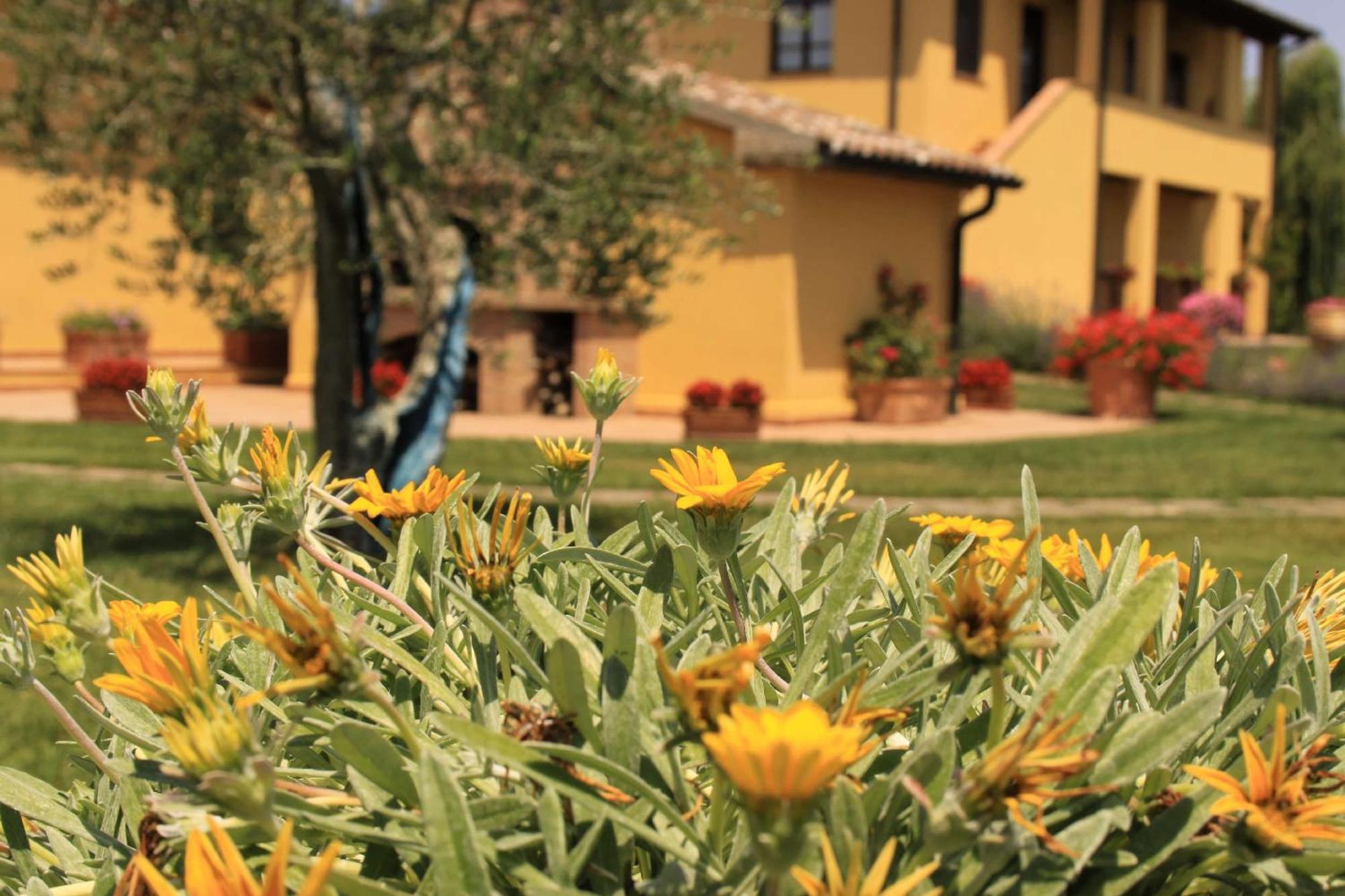 Podere Tre Cipressi Aparthotel